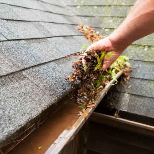 Gutter Cleaning & Brightening