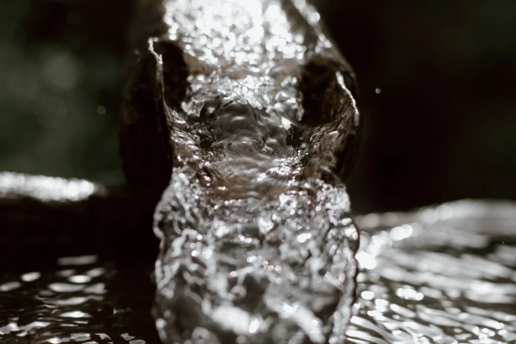 Professional gutter cleaning service in Lakeland, FL — Pressure Washing Lakeland Pros removing leaves and debris to prevent water damage and pests.