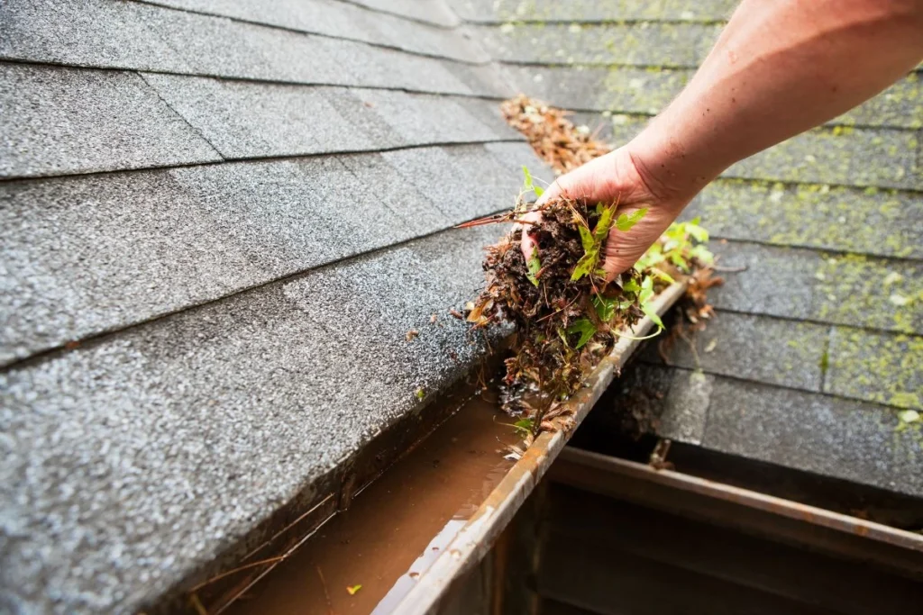 Professional gutter cleaning service in Lakeland, FL — Pressure Washing Lakeland Pros removing leaves and debris to prevent water damage and pests.