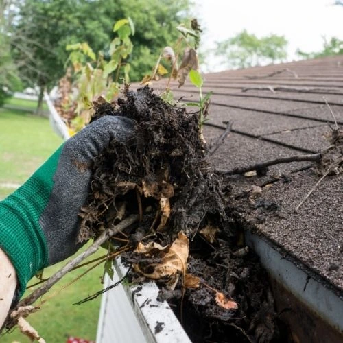 Professional gutter cleaning service in Lakeland, FL — Pressure Washing Lakeland Pros removing leaves and debris to prevent water damage and pests.