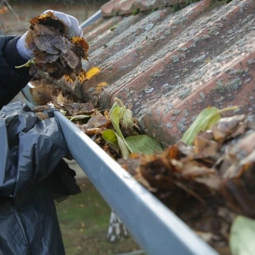 Professional gutter cleaning service in Lakeland, FL — Pressure Washing Lakeland Pros removing leaves and debris to prevent water damage and pests.